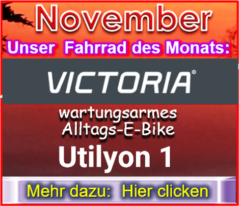 Fahrrad des Monats November